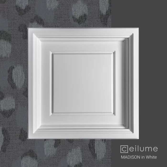 madison 2x2 white ceiling tile context